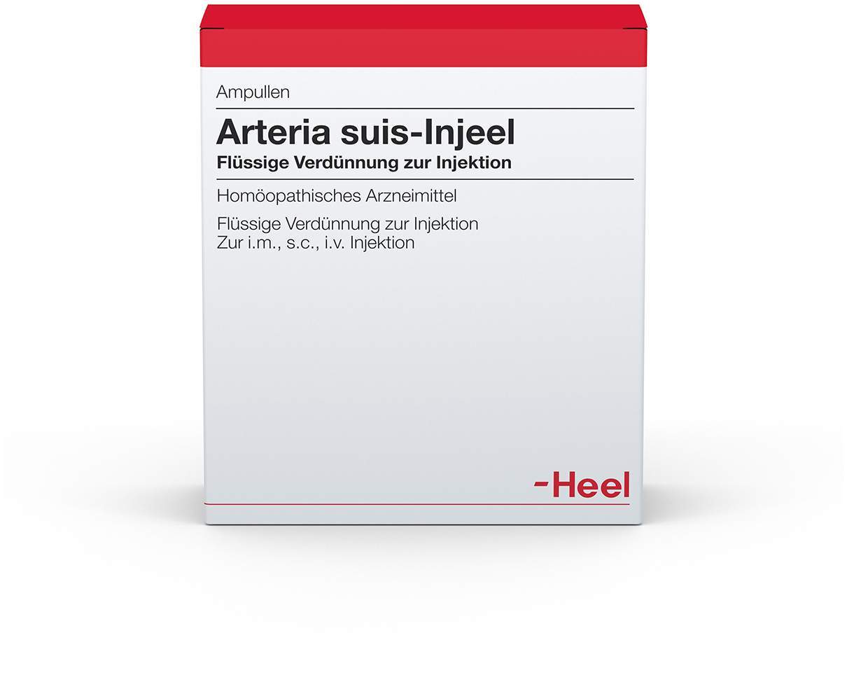 Arteria Suis Injeele 1