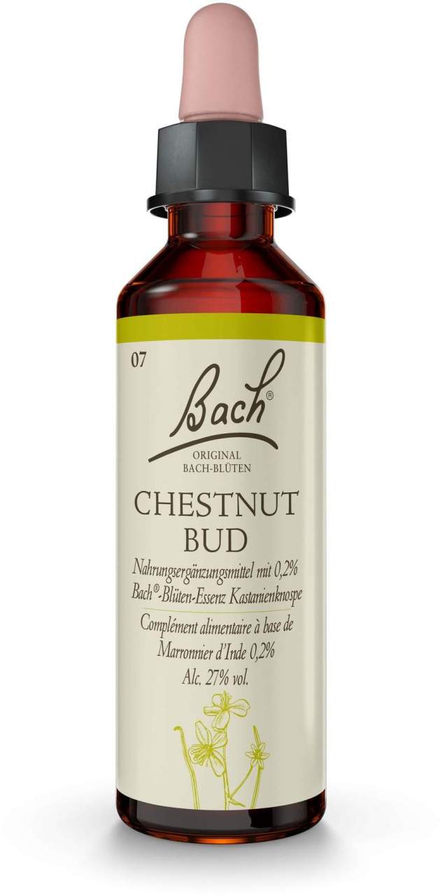 Bachblüten Chestnut Bud 20 ml Tropfen
