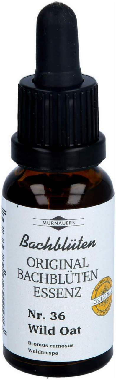Bachblueten Murnauer Tropfen Wild Oat