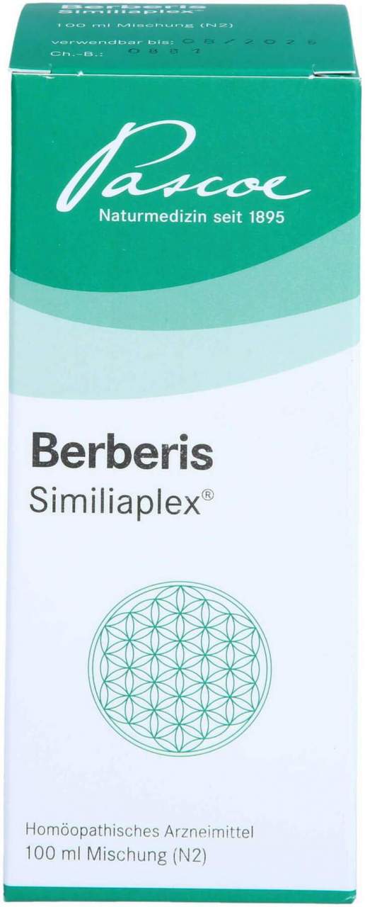 Berberis Similiaplex Mischung