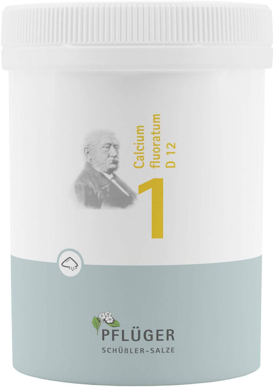 Biochemie Pflüger 1 Calcium Fluoratum D 12 Pulver 250 G