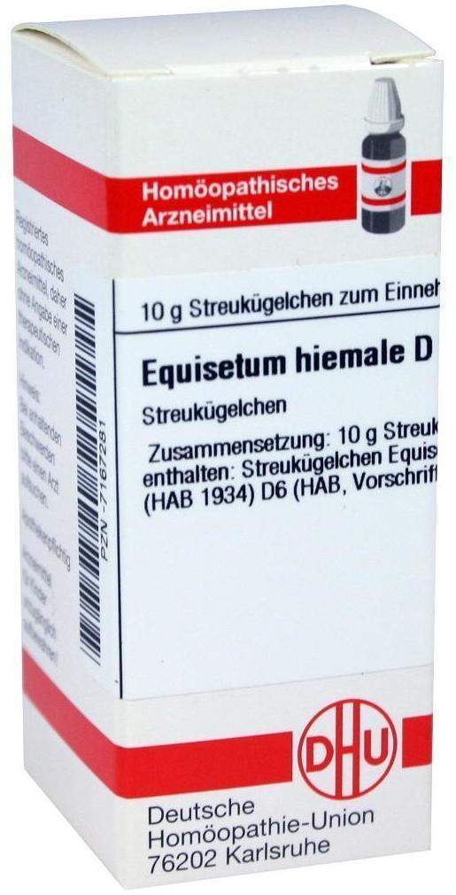 DHU Equisetum hiemale D6 10 g Globuli