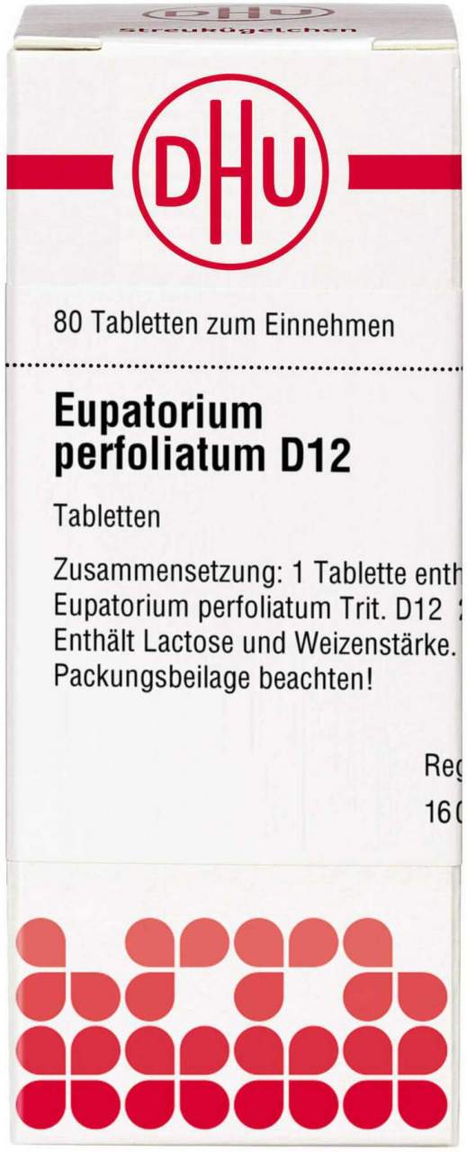 DHU Eupatorium perfoliatum D12 80 Tabletten