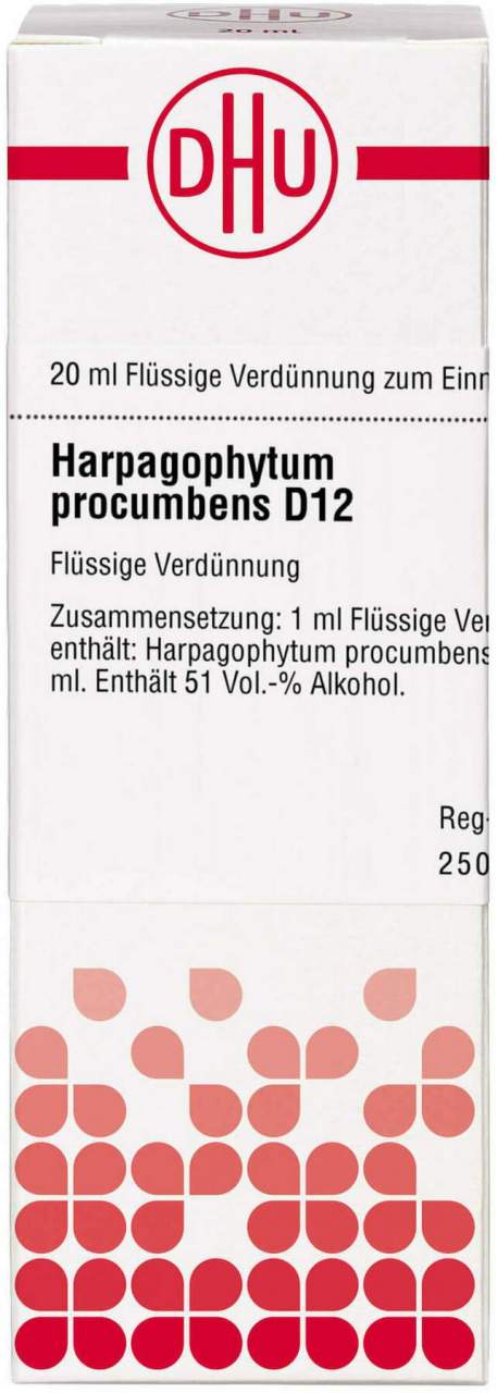 DHU Harpagophytum procumbens D12 Dilution 20 ml