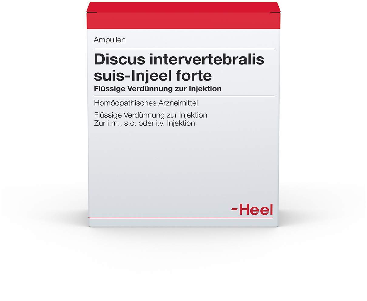 Discus Intervertebralis Suis Injeel Forte 1