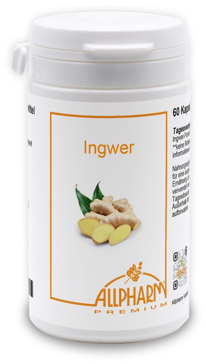 Ingwer 300 mg 60 Kapseln