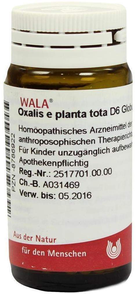 Oxalis E Planta Tota D 6 Globuli 20 G