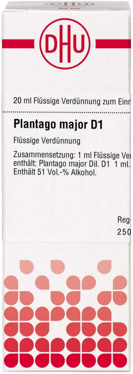 Plantago Major D 1 Dilution 20 ml
