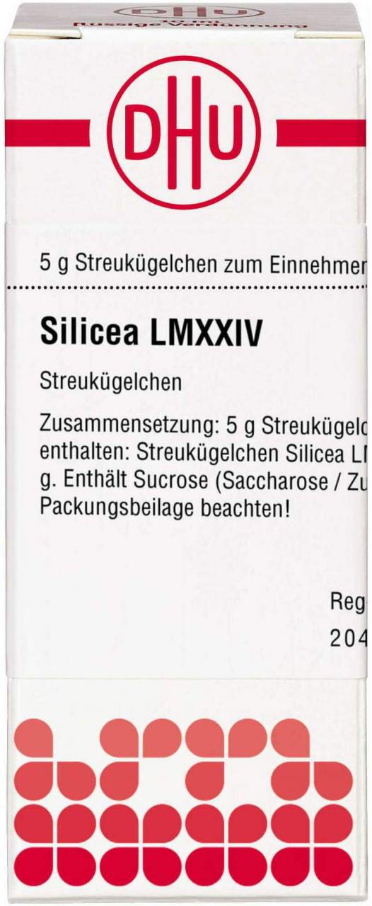 Silicea Lm Xxiv Globuli 5 G
