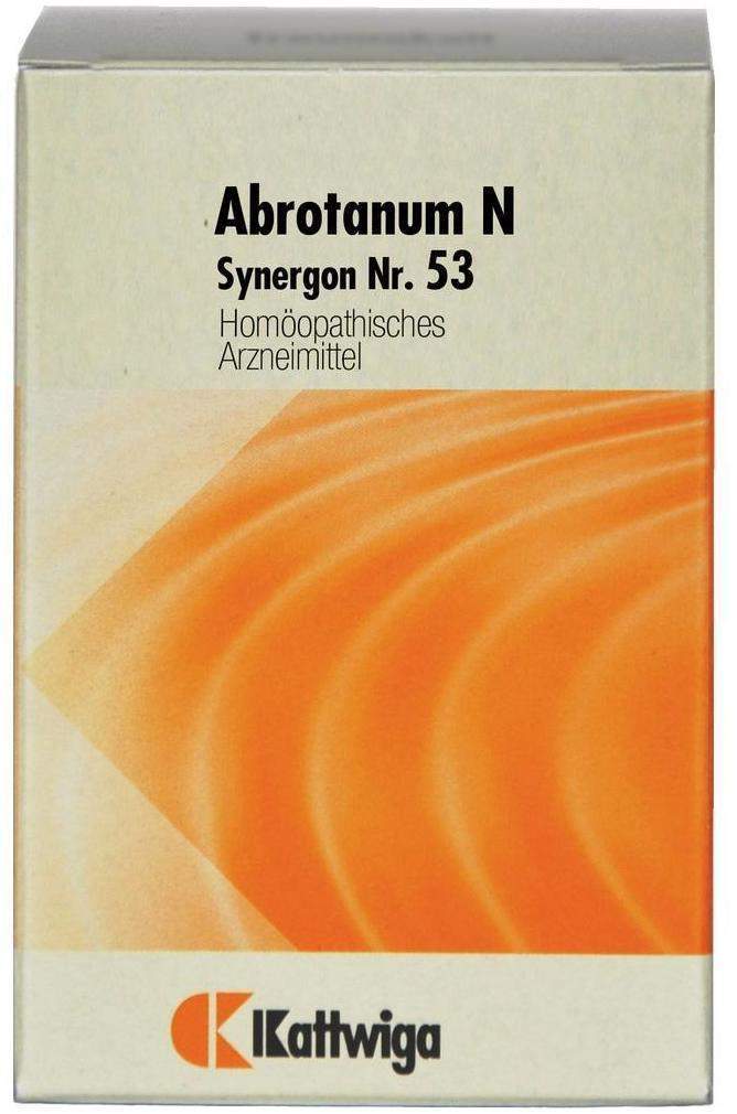 Synergon Komplex 53 Abrotanum N Tabletten 50 ml Tropfen