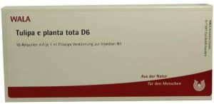 Wala Tulipa E Planta Tota D6 10 X 1 ml Ampullen