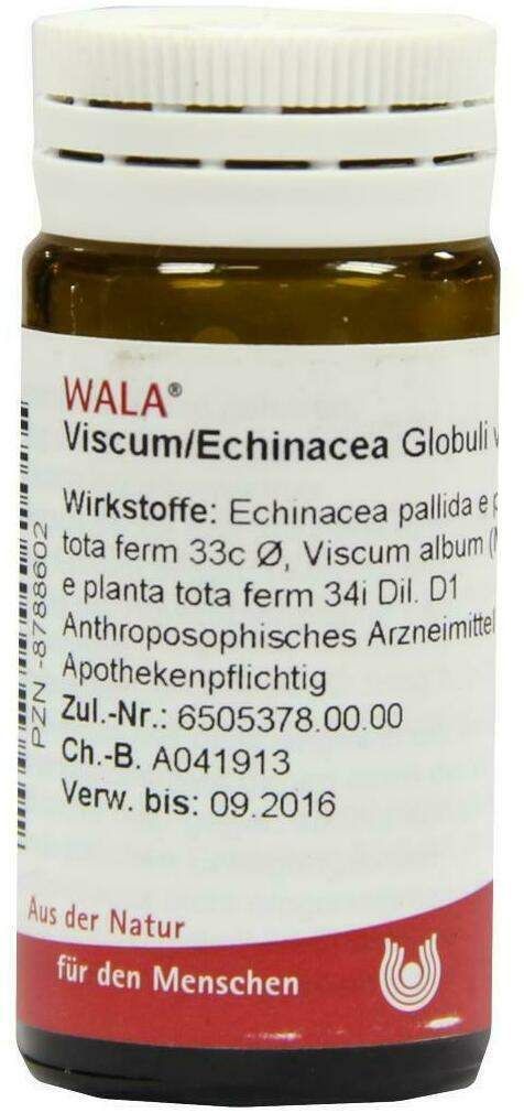 Wala Viscum Echinacea 20 G Globuli